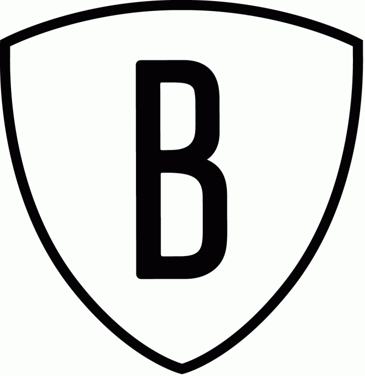 Brooklyn Nets 2012-2014 Alternate Logo iron on heat transfer v3